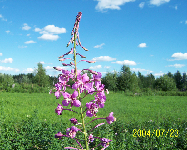 中国最美的100个地方 - 乐园 - 高山流水 中国最美的100个地方 - 乐园 - 高山流水