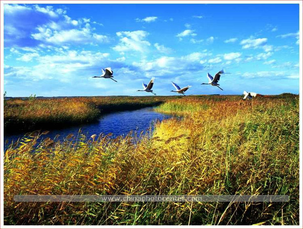 中国最美的100个地方 - 乐园 - 高山流水 中国最美的100个地方 - 乐园 - 高山流水