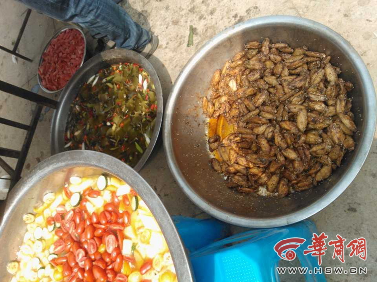 点击图片分享到上海滩微博 点击图片分享到上海滩微博