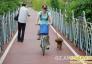贵州首条专用自行车道受青睐