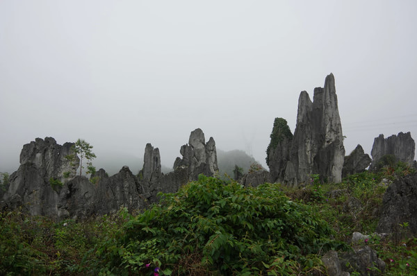 贵州自助游图片 贵州自助游图片