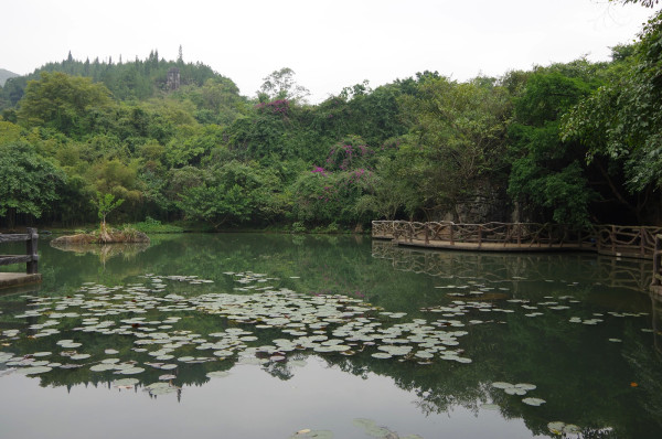 贵州景点图片 贵州景点图片