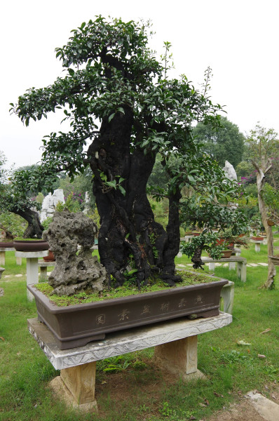 贵州自助游图片 贵州自助游图片