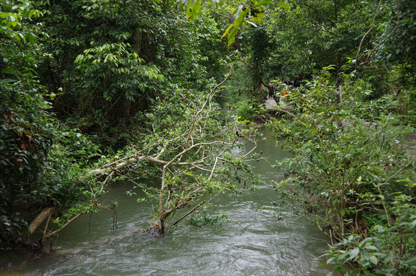 贵州旅游攻略图片 贵州旅游攻略图片