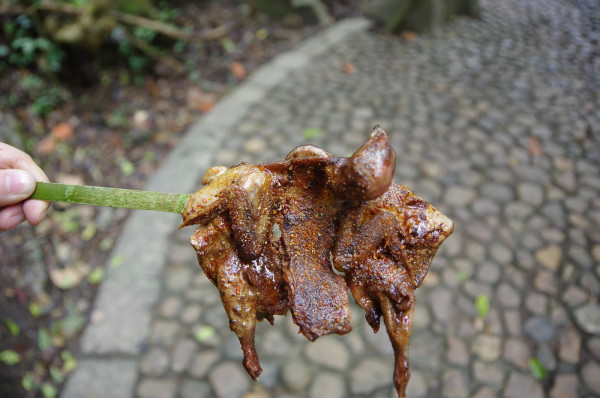 贵州自助游图片 贵州自助游图片