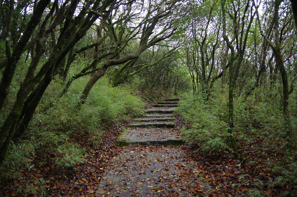 贵州景点图片 贵州景点图片