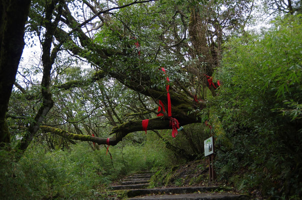 贵州旅游攻略图片 贵州旅游攻略图片