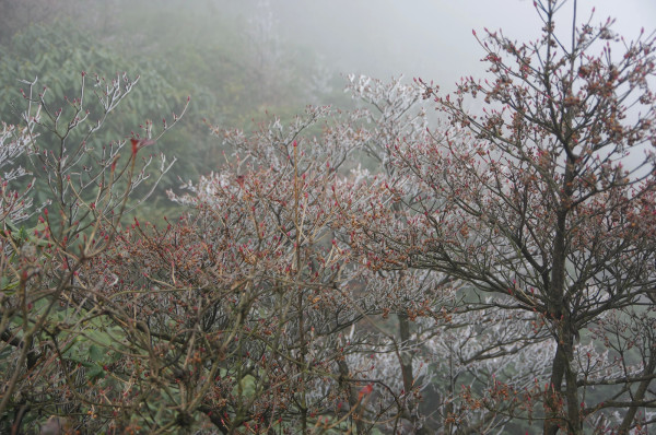 贵州图片 贵州图片