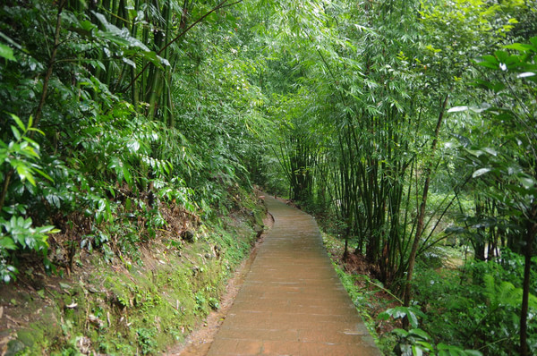 贵州旅游攻略图片 贵州旅游攻略图片