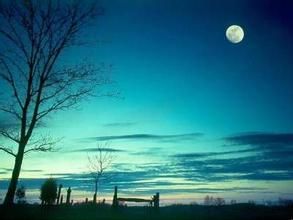 王建《十五夜望月寄杜郎中》赏析 \