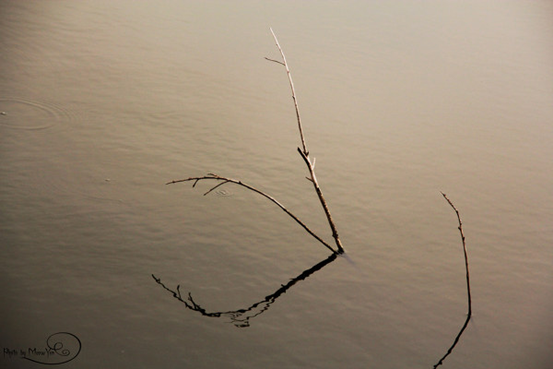 礼仪使你活得更潇洒 \