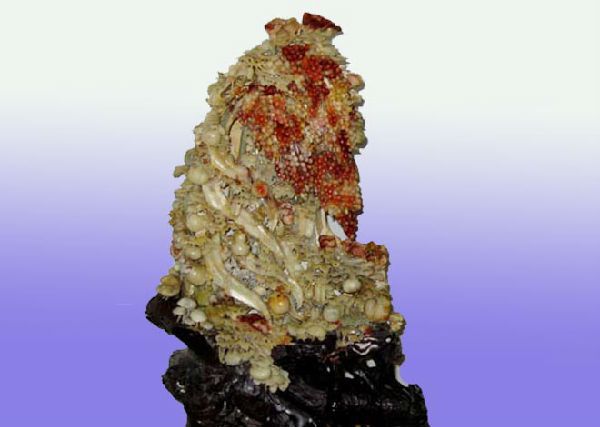 一分钟了解我国四大名石 \