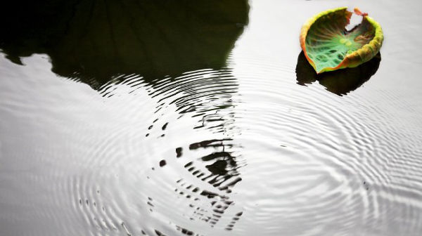 中国传统文化中的八大智慧 \