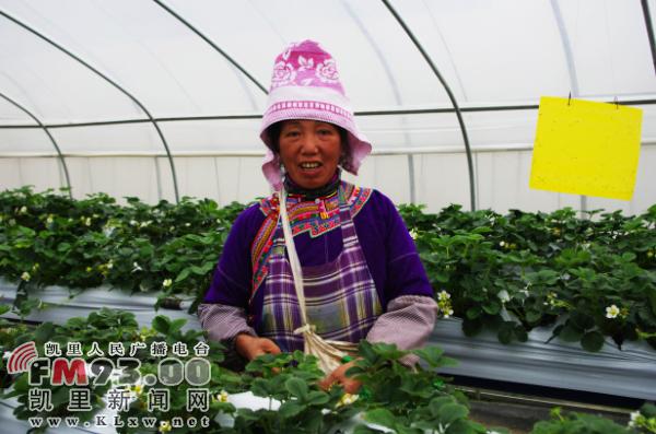 1426466483821777.jpg \