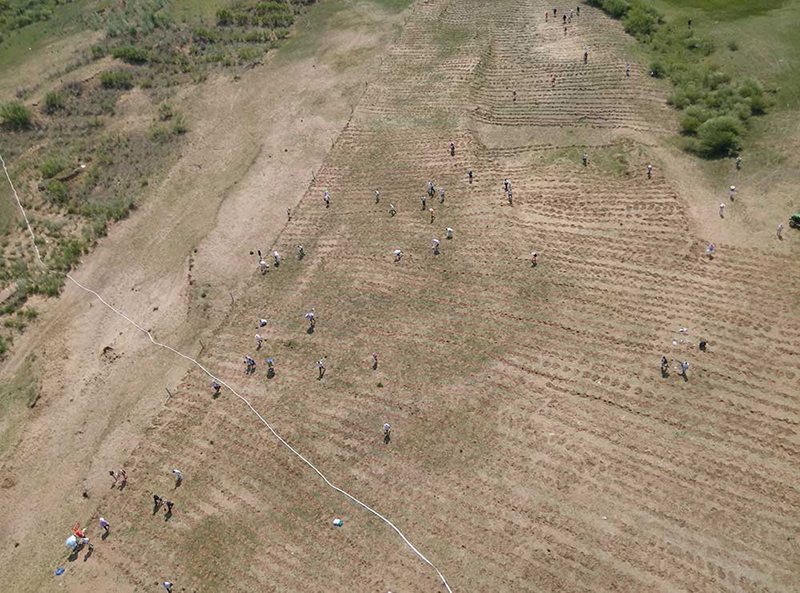 1498706441549292.jpg 1498646691123522.jpg